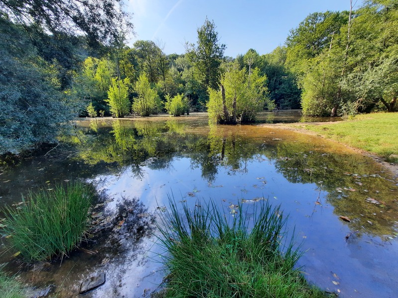 Etang de la Patte d'Oye